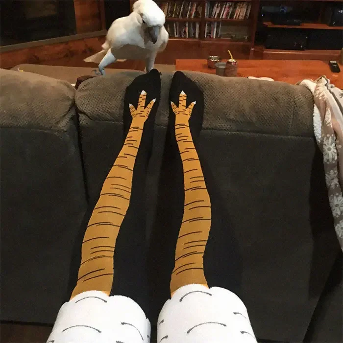 40Pairs 3D Funny Chicken Claw  - Funny Chicken Leg Socks 评论和价格