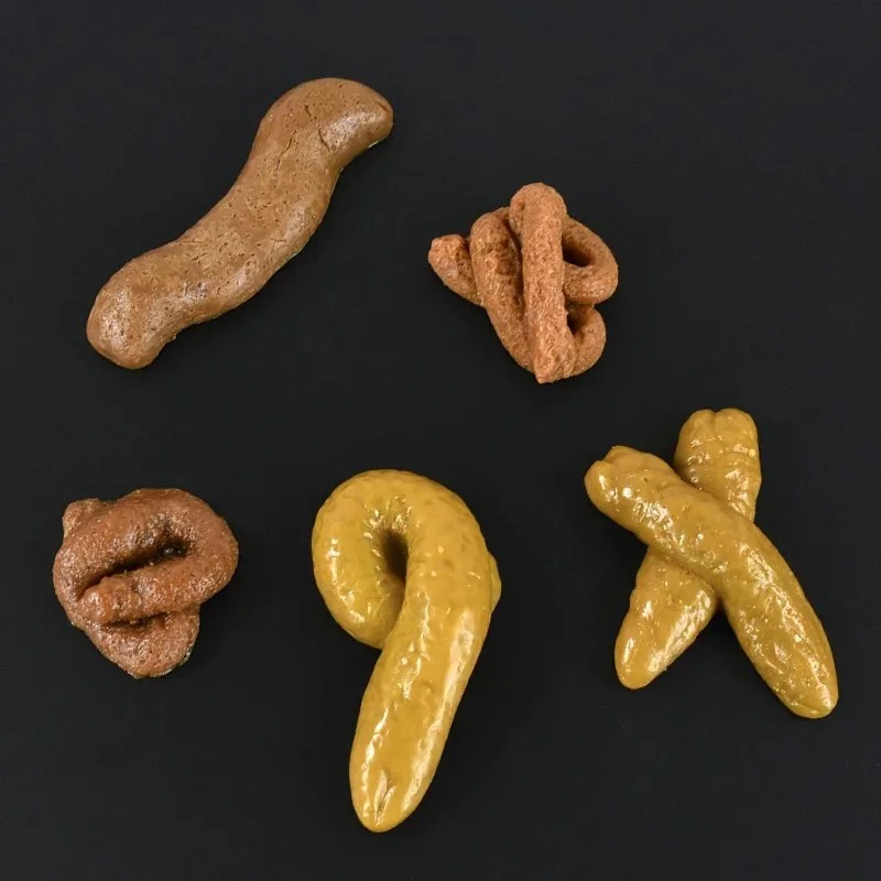 Realistic Shit Safe and Soft P - Fake Poop Gag Gift 评论和价格